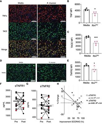 Assessing microbial manipulation and environmental pollutants in the pathogenesis of psoriasis